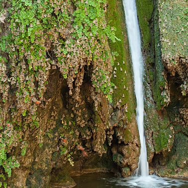 Buss till fjärilsdalen rhodos Buss till fjärilsdalen rhodos